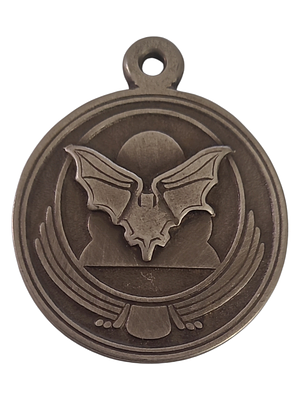 ישראל מדליון פרטי בנושא צבא "ביום בליל ובערפל - 119 סופה" בקוטר 44 מ"מ במשקל 28.5 גרם