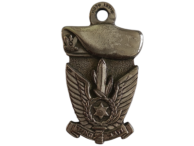 ישראל מדליון פרטי בנושא צבא "חיל האויר" במשקל 23.78 גרם