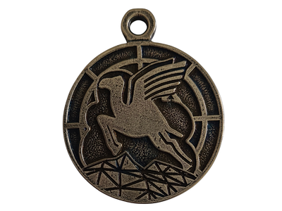 ישראל מדליון פרטי בנושא צבא "גמל מעופף" בקוטר 39 מ"מ במשקל 18.7 גרם