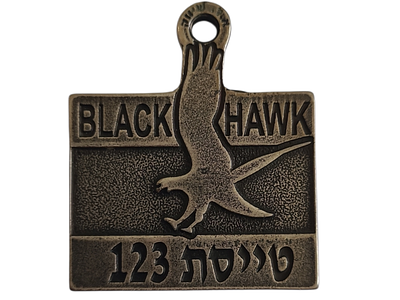 ישראל מדליון פרטי בנושא צבא "טייסת 123" בגודל 39*31 מ"מ במשקל 21.96 גרם