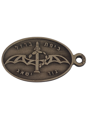 ישראל מדליון פרטי בנושא צבא "כיפת ברזל - גור ישאג" במשקל 19.07 גרם