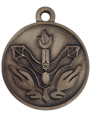 ישראל מדליון פרטי בנושא צבא "ביסל"א 883" בקוטר 39 מ"מ במשקל 27.22 גרם