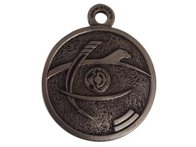 ישראל מדליון פרטי בנושא צבא "בהוקרה טייסת 210" בקוטר 37 מ"מ במשקל 21.35 גרם