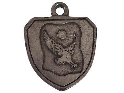 ישראל מדליון פרטי בנושא צבא "בהוקרה מהיחידה" במשקל 23.93 גרם