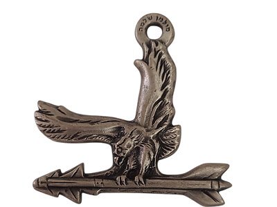 ישראל מדליון פרטי בנושא צבא "בהוקרה גף נש"מ" במשקל 16.98 גרם