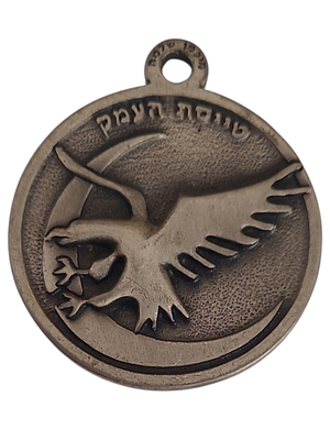 ישראל מדליון פרטי בנושא צבא "טייסת העמק" בקוטר 44 מ"מ במשקל 28.43 גרם