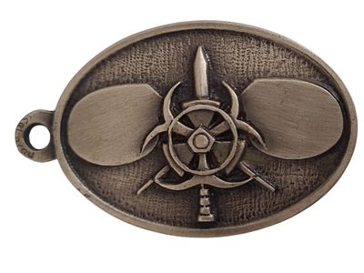 ישראל מדליון פרטי בנושא צבא "מבצעית ברקן" במשקל 27.35 גרם