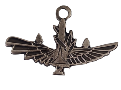 ישראל מדליון פרטי בנושא צבא "כנפיים פרושות" במשקל 10.29 גרם