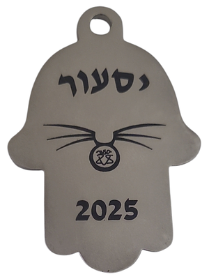ישראל מדליון פרטי בנושא צבא "יסעור 2025" במשקל 19.83 גרם