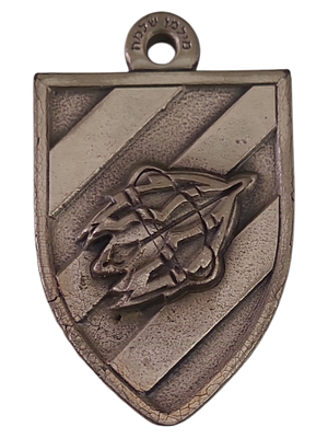 ישראל מדליון פרטי בנושא צבא "בהוקרה גדוד רם" במשקל 30.18 גרם