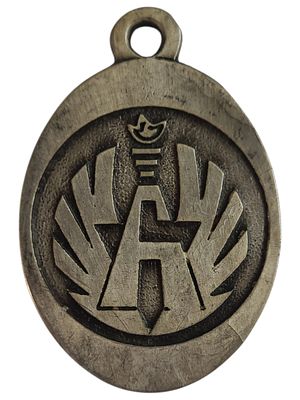 ישראל מדליון פרטי בנושא צבא "בסיס חיל-האויר - חצרים" במשקל 24.52 גרם