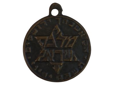 ישראל מדליון פרטי בנושא צבא "צבא הגנה לישראל - מדבר ישראל" בקוטר 25 מ"מ במשקל 6.23 גרם