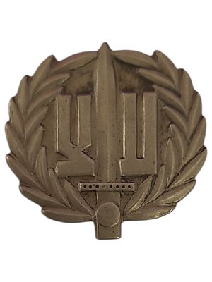 ישראל סיכת כומתה "ע.צ" במשקל 3.48 גרם