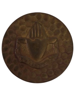 ישראל סיכת כומתה "חיל משטרה צבאית" בקוטר 27 מ"מ במשקל 1.3 גרם