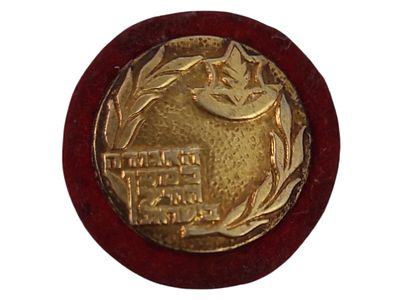 ישראל סיכת כומתה "האגודה למען החייל בישראל" בקוטר 21 מ"מ במשקל 1.74 גרם