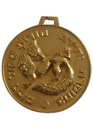 ישראל מדליון בנושא צבא "בהוקרה יחידת מורות פקוד דרום" בקוטר 36 מ"מ במשקל 18.7 גרם