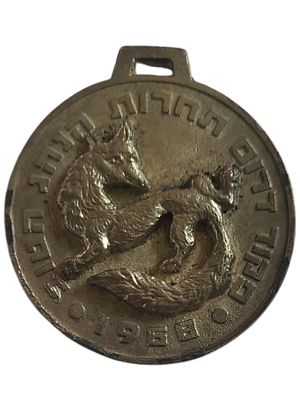 ישראל מדליון בנושא צבא "פקוד דרום תחרות הנהג הטוב 1968" בקוטר 35 מ"מ במשקל 18.96 גרם