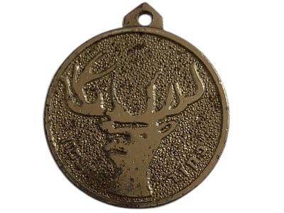 ישראל מדליון בנושא צבא "פיקוד הצפון" בקוטר 35 מ"מ במשקל 13.51 גרם