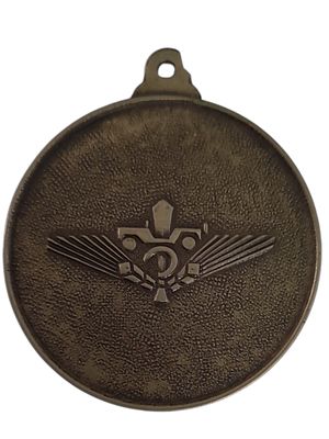 ישראל מדליון בנושא צבא "חיל האוויר - כנפי שחף" בקוטר 35 מ"מ במשקל 15.21 גרם