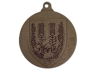 ישראל מדליון בנושא צבא "סמל פל-מח" בקוטר 35 מ"מ במשקל 15.59 גרם