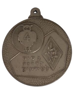 ישראל מדליון בנושא צבא "בסיס הדרכה לטירונים" בקוטר 35 מ"מ במשקל 17.74 גרם