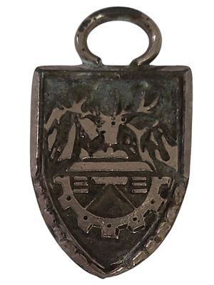 ישראל מדליון בנושא צבא "סמל פיקוד צפון - המערך הלוגיסטי" במשקל 12.64 גרם