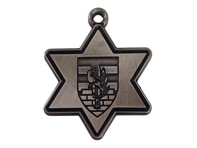 ישראל מדליון בנושא צבא "בהוקרה והערכה" במשקל 23.31 גרם