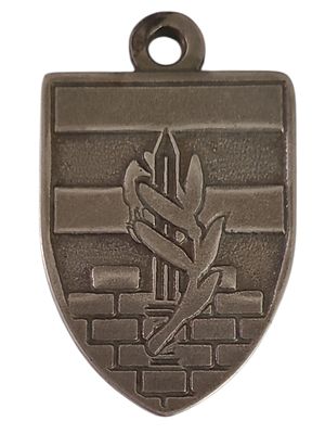 ישראל מדליון בנושא צבא "מנהל אזרחי" במשקל 19.4 גרם