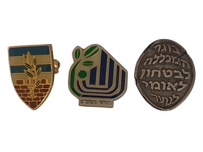 ישראל 3 סיכות וסמלים שונים בנושא צבא במשקל 10.11 גרם