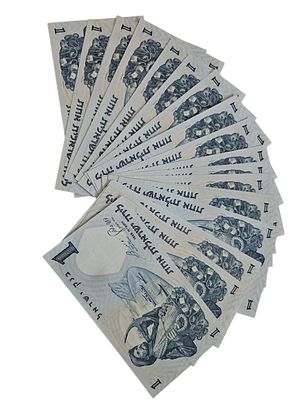 ישראל 20 שטרות בעריך 1 לירה דייג חום משנת 1958 P-30C במצב EF-AU