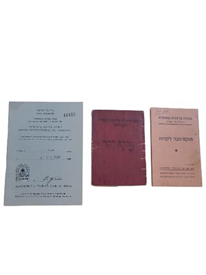 ישראל 3 תעודות שונות מרשיון נהיגה בינלאומי לפנקס חבר לקניות