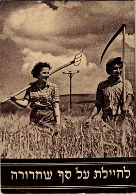 לחיילת על סף שחרורה "אחותי החיילת! "המלחמה באירופה נגמרה- כך הכריז הרדיו, כך הכריזו העיתונים. 