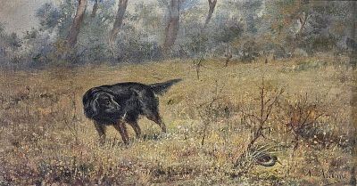 Ascione Nicola (Torre del Greco, NA 1870 - Napoli 1957) - Cane da caccia 1912 olio su tela firma e 