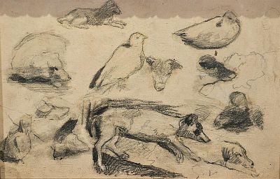 Villani Gennaro (Napoli 1885 - 1948) - Studi per animali matita grassa su carta firma: iniziali in 