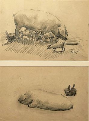 Villani Gennaro (Napoli 1885 - 1948) - Maiali matita su carta firma: opera non firmata misure: cm 