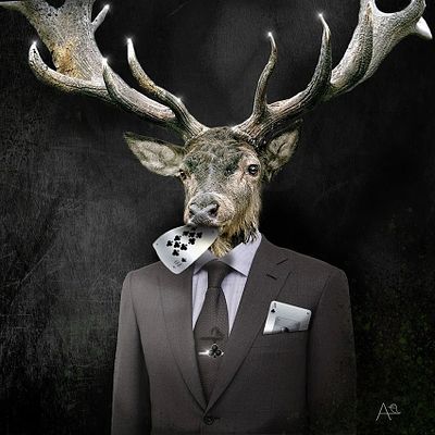 Анна Синица - &laquo;Покер. Flash royal“ . Трефы. Масть символизирует чиновников, бизнес, энергия 