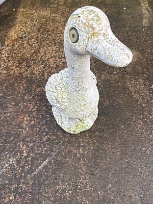 concrete duck