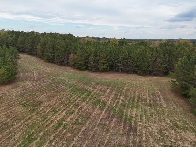 Estate Georgia | 31.98 Acres in Lexington, GA - Oglethorpe County