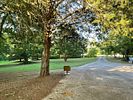 1570 Historic Homer Hwy Homer, GA . Opportunity awaits to own this beautiful piece of property. Image - 4