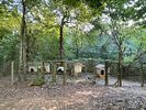 1570 Historic Homer Hwy Homer, GA . Opportunity awaits to own this beautiful piece of property. Image - 8