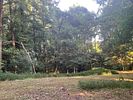 1570 Historic Homer Hwy Homer, GA . Opportunity awaits to own this beautiful piece of property. Image - 11