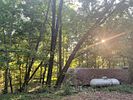 1570 Historic Homer Hwy Homer, GA . Opportunity awaits to own this beautiful piece of property. Image - 12