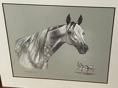Framed Equine Artwork Signed Willa Frayser, Dated 1995. A single piece of mixed-media artwork 