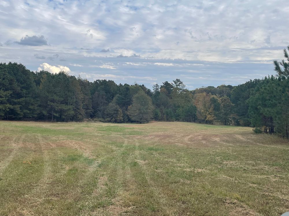 Approximately 31 Acres of Land at 0 Washington Highway, Lexington, GA 30648. A parcel of 