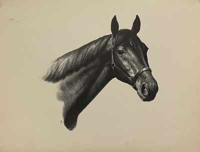 Clarence William Anderson\К. У. Андерсон (1891 - 1971) "Голова лошади". Бумага, литография 
