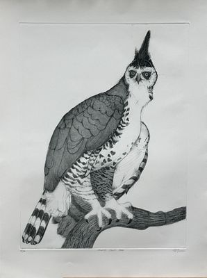 McGinnis Christine / Кристина Мак Гиннес (1937-2019), "Ястреб". бумага, офорт 
размер листа 