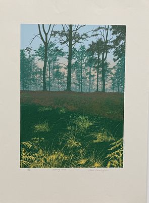 Cleeve Canningham / Клив Каннинхэм, "Morning Mist". бумага, литография 
размер листа 76 х 57 см. 