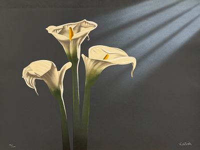 Йохен Лабриола / Jochen Labriola (1942), "Три Каллы". бумага, литография 
размер листа 63 х 87 