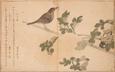 УТАМАРО. Редчайшая авторская гравюра &laquo;Воробей&raquo;. Из книги &laquo;Момо тидори кёка авасэ&raquo; (&laquo;Собрание 