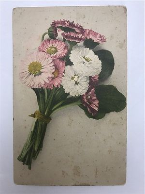 Открытое письмо/открытка. Букет хризантем. Gesetzlich geschutzt. Farbenlichtdruck v. Martin 